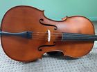 Cello-4-4-pernambuco 1-star Tuscan Local Pkup Or Ship