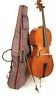 1108a Stentor Cello Student Series Ii Open Box Case Bow Bridge