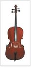 1443-1  Oxford Cello With Bag String Bass Musical Instrument Violin Group