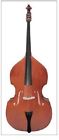 1453-1  Capri Double Bass Cello String Musical Instrument Case And Bow
