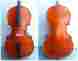 1659-1742 3800 Copy Matteo Goffriller Alexanderviolins Of 4 Size Cello Master Level