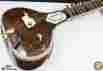 29082 Bhargava Co Acoustic-electric Double Toomba Sitar W Case India