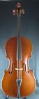 308-2018 Frank Denti Used 4 Cello
