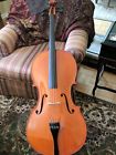 4-17 Strunal Model Intermediate Student Cello
