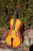 5544 Engelhardt Cello Model Full Size American Made