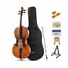 Evc-1 747356963787 Eastar Acoustic Cello Matt Natural Varnish With Imprinted