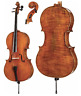 843608010459 Undisclosed Core Dragon Series Cello