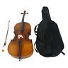 890343015058 Unbranded Us Acoustic Cello Case Bow Rosin Maple