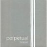 950g Perpetual Soloist Pirastro Cello String