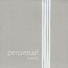 956c Perpetual Edition Pirastro Cello String