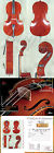 B6623 Stradivari Gliga Handcarved 4 Maestro Vasile Oil Varnish Cello Pattern Style