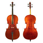 Cac400-44 Luca Student Ebony Fitted Cello With Padded Gig 825232552024