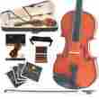 4cvn-100 Cvn-100 1 Cecilio Size 4 Solidwood Violin W Book Dvd Case Shoulderrest 847848001031