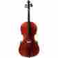 Dscws8000 Ren Wei Shi Model 8000 Cello Only 844609007219