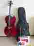 E120of E120 Engelhardt Cello Outfit Standard 4 W Bow Case Learning Tools Tuner Rosin