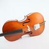 E221e3h Scherl Roth Model Size Cello Outfit Open Box