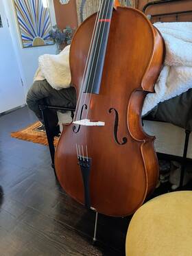 Z1904604 Eastman Strings 4/4 Full Size Cello. For Paige S. Concert Model
