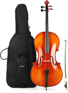 Eastman Swvc10044sbc Swvc100 Student Cello Outift - 4/4 Size Sweetwater Setup