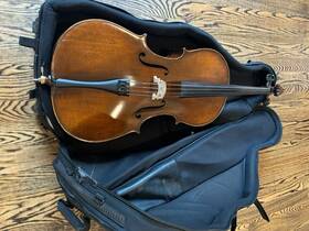 Vc305s Eastman Vc305 Andreas Intermediate Cello - 1/2 Size