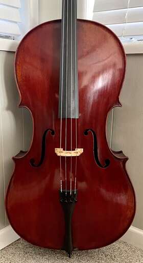 Vc501 Eastman Jean-pierre Lupot Cello
