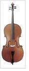 Gvsac-1  Gems Gliga Vasile Cello String Bass Musical Instrument Violin Group