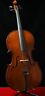 Hc-300 Cervini Lot Student Cello Size Free Shipping