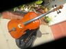 Hc-95 Francesco Cervini Hc Cello Beautiful Padded Case Bow And Rosin