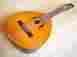 L-3c Laud Alhambra Spanish Acoustic Lute Cedar Sapele Rosewood W Gigbag