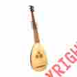 Lt59r Roosebeck 5 9 Baroque Lute