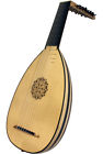 8-course Lt8dbn Roosebeck Deluxe Lute 844731058899