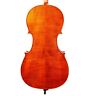 Luthier Model Cello Made In Europe Case