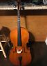 M-80 Eastman Strings Brown Cello