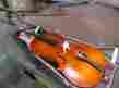 Mb1009650 520c44 J Balaton 4 Cello Local Pickup Only