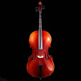 Archived21451 Melody Music Shop Llc Thoma 421511 1/2 Cello