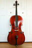 Nebel16459 Albert Bavaria Nebel Cello Brazilwood Bausch Bow Hard Case Penzberg