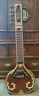 Rz-10 Rajah Zeetar Electric Sitar