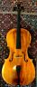 Sc88 Samuel Shen Nice Cello