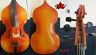 12438 Song Baroque Style Brand Strings Cello Strong And Powerful Sound