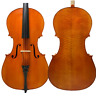 15164 Song Rare Professional Master Cello Flames Back Powerful Sound