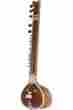 Ss7pg Professional G Rosul 49 Pro Sitar String Set Mizrabs Gig Bag 844731030185 Ss7pg Professional G Rosul 49 Pro Sitar String Set Mizrabs Gig Bag 844731030185