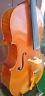 Stc1500 Scott Cao Cello Guadagnini Free Shipping Hard Case