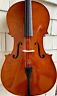 Taylor 120 Eastman Angel Cello Hardcase Bow