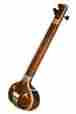 Tmbf-2s Elaborate Decorations Banjira Tanpura Female 4 String Wooden Case Blemished 844731023019