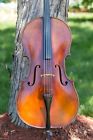 Unbranded Jacobus Hornsteiner Antonius Stradivarius Cello Helicore Strings Hs Case