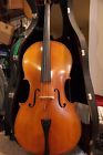 Unbranded Tartini Stradavarius Model Cello