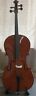 Vc-1001-4 Vivace Size Beginner Cello