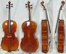 Vc300 Alexanderviolins Advanced Full Size Cello France Bridge Helicore Strings Ready