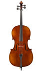 Vc401 Eastman Ivan Dunov Cello