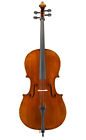 Vc405 Eastman Andreas Montagnana Pattern Cello All Sizes