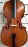 Vc502 Eastman Pietro Lombardi Cello